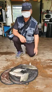 고삼지 중류권 포인트 조황입니다.