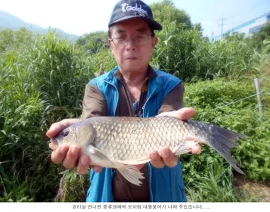 어재보다는 오늘이 좋은 조황을 보이네요...