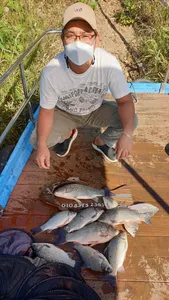 고삼지 연일 이어지는 사짜 조황입니다.