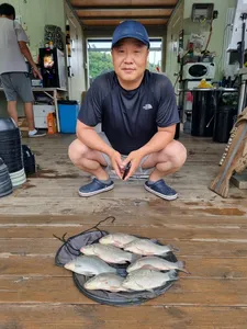 고삼지 마리수 조황입니다.