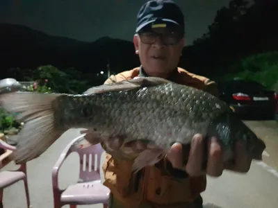 아름다운계곡속에자리잡은장계지에서