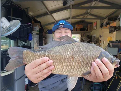 고삼지 물골자리 포인트 사짜붕어 입니다.