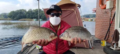 고삼지 사짜붕어 더블힛트!!