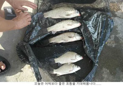 무더위가 언제나 지나갈까요....