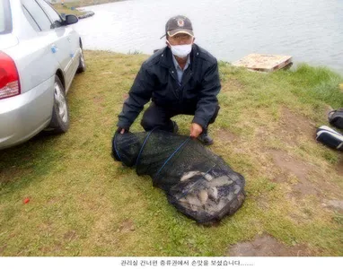 봄바람인가 태풍인가....