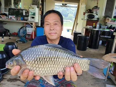 고삼지 오름수위 준비하세요