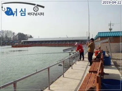 4월22일어심바다낚시터조황