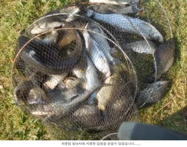 4월 마지막날 조황이네요....