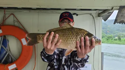 양평 수곡낚시터 연이어 5짜붕어 출몰