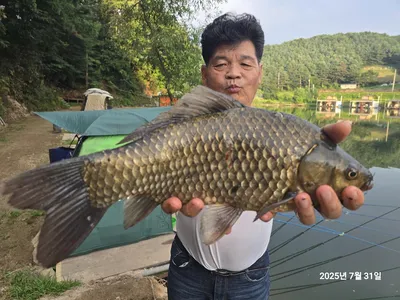 용담대물낚시터 