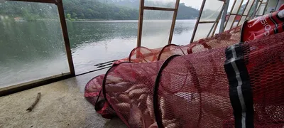 5월 끝주 금토 힐링 수곡낚시터 조황 및 방류