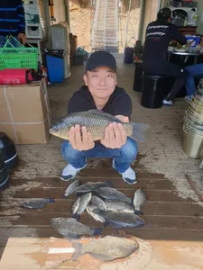 고삼지 배수안정권에 마리수 조황