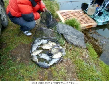 이제야 신봉지 다워집니다....