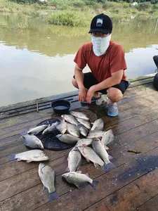 고삼지 상류권 덩어리 발동걸렸습니다.