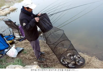 4월첮 주말 조황입니다....