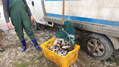 아산 명품 월랑낚시터 3월 세번째 조황이야기입니다...^^