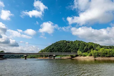 안성 두메낚시터 6월 27일 조황정보