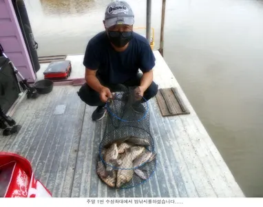 붕어가 시원하게 입질을해 줍니다....