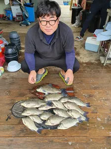 고삼지 양촌좌대 포인트 전구간 대박조황