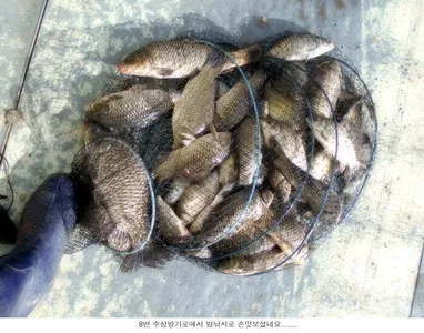 낚시 여건이 아주 좋습니다...