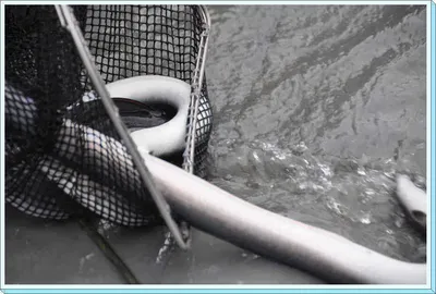 [유일낚시터] 유일에서 밤낚시 삼메경에 빠져봅시다,~~~!