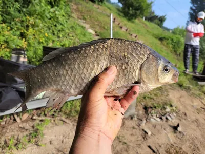 장계낚시터주말조항