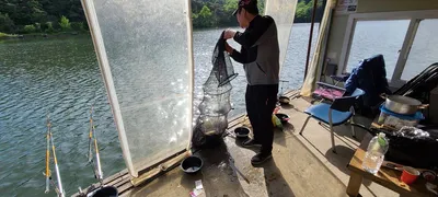 힐링 수곡낚시터 주초 일,월 조황도 고른편이며 오늘 오후 붕어방류 합니다