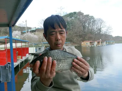 안성 독정낚시터 이래죽나 저래죽나