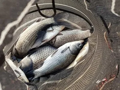 아름다운장계지에서