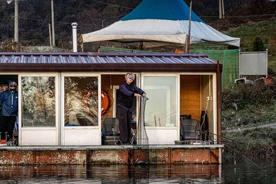 안성 두메낚시터 11월 12일 조황정보