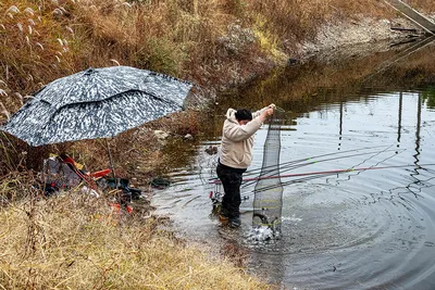 안성 두메낚시터 11월 10일 조황정보