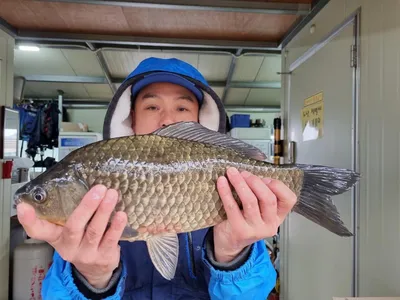 고삼지 상류권 포인트는 지금.....