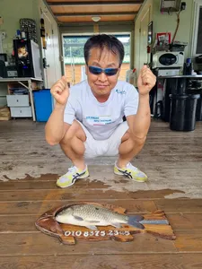 고삼지 상류권 덩어리~ 조황!!