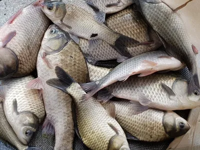 아름다운계곡속에자리잡은장계지에서