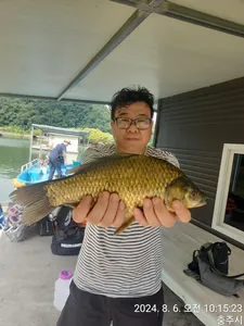 화곡낚시터 조황정보