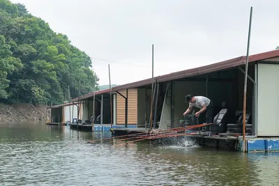 안성 두메낚시터 6월22일 조황안내. 