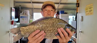 고삼지 상류권 붕어도 가을 탑니다.