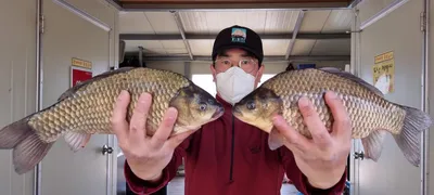 힐링이 되는 고삼저수지 조황입니다.