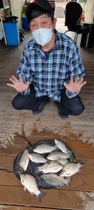 고삼지 주말 마리수 조황입니다.