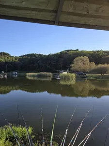 배수없는 항곡낚시터소식입니다.