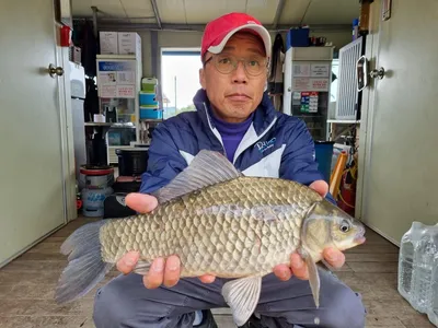 고삼지 상류권 마리수조황 입니다.