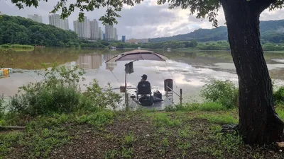 아산 명품 월랑낚시터 7월 두번째 조황 화보입니다...^^