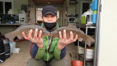 고삼지 상류권 붕어의 움직임 포착!!