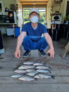 고삼지 마리수 조황입니다!!