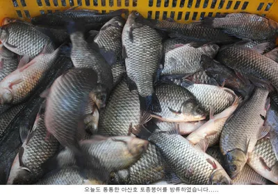 휴가철에 태풍이 온다는데....