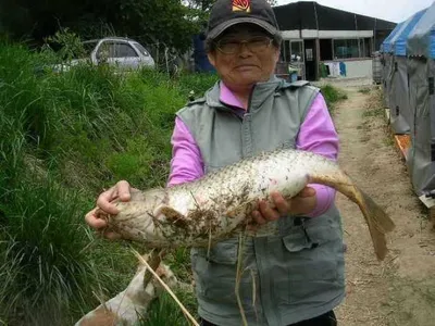 [활발해지는 장어,메기들~~~]