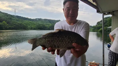 7월 둘째주 주초 힐링 수곡낚시터 붕어소식