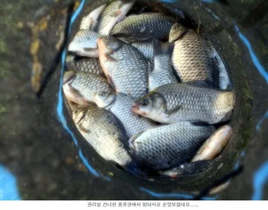 주말 아쉬움을 주중에 풀어봅니다....