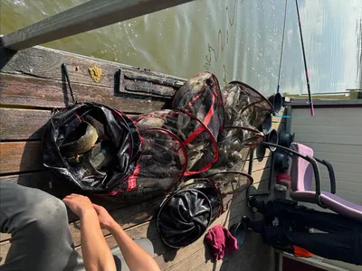 반제낚시터 조황정보입니다