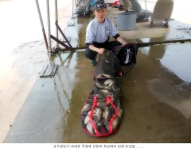 폭우속에 주말을 보냅니다....